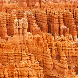 Hoodoo formations, Bryce Canyon National Park, Utah