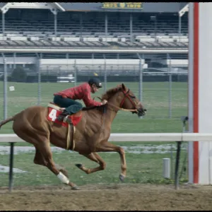 Images Dated 1978 May: 4 May 1978