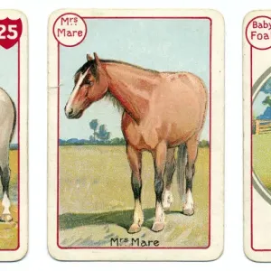Three Horse Family Print, Chromolithography Three Horse Family Print, Chromolithography