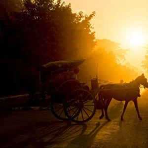 Horse carriage at the Bagan Archaeological Zone, Beautiful sunset scene of horsecart in Bagan, Myanmar