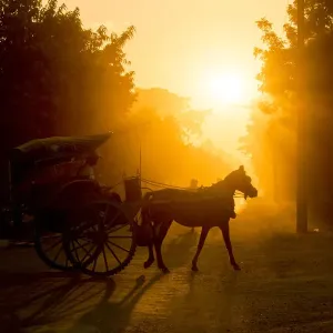 Horse carriage at the Bagan Archaeological Zone, Beautiful sunset scene of horsecart in Bagan, Myanmar