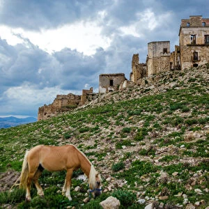 Horse in Craco - The ghost town
