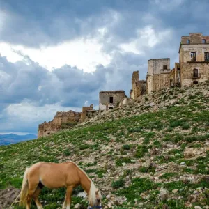 Horse in Craco - The ghost town Horse in Craco - The ghost town