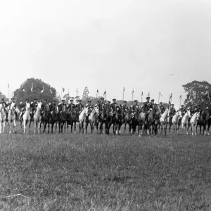 Horse Parade Horse Parade