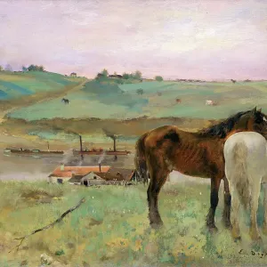 Horses In A Meadow By Degas Horses In A Meadow By Degas