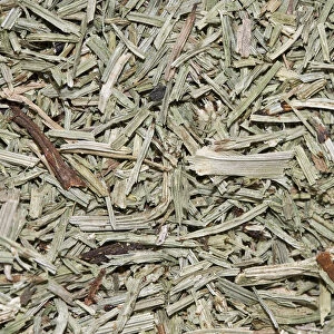 Horsetail tea, organic tea