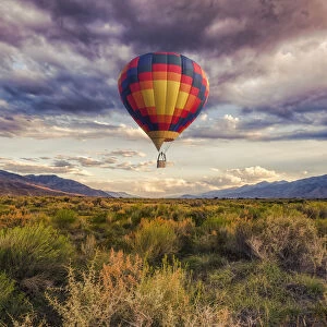 Hot Air Balloon over the Landscape