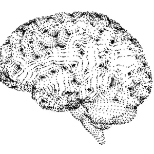 Human brain, conceptual illustration, illustration