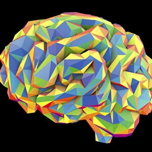 Human brain, low-polygonal illustration