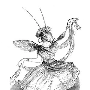 Humanized animals illustrations: Ant dancer