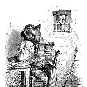 Humanized animals illustrations: Fox in prison