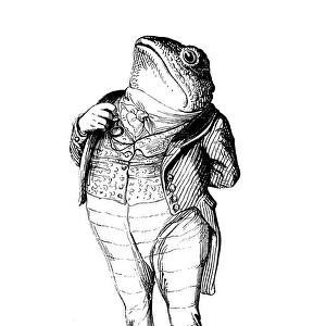 Humanized animals illustrations: Frog
