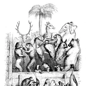 Humanized animals illustrations: Group