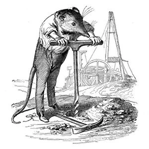 Humanized animals illustrations: Mouse boring