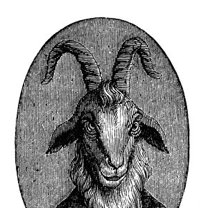 Humanized animals illustrations: Portrait of goat