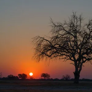 Hwange National Park, Zimbabwe