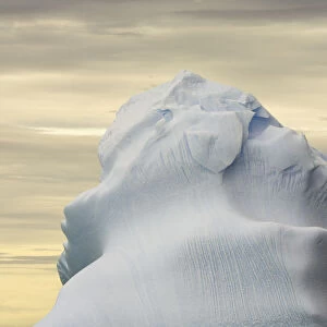 Iceberg, Cape Evensen, Antarctic Peninsula