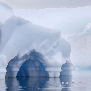 Iceberg, detail, Pleneau Bay, Antarctic Peninsula, Antarctica