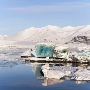 Icebergs Icebergs
