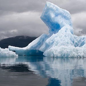 Icebergs, South Sawyer Glacier, Alaska
