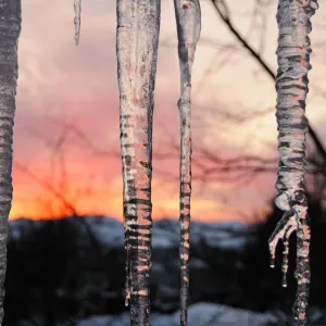 Icicles