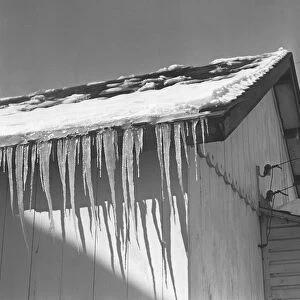 Icicles on barn roof, (B&W)