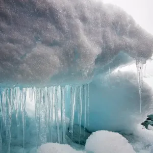 Svalbard Icicles Print Svalbard Icicles Print