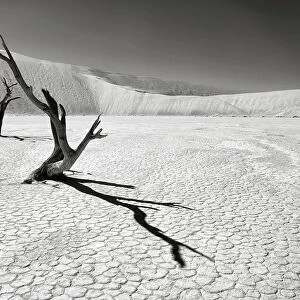 The iconic dead acacia trees of Deadvlei in Namibia photographed in Infrared, Namib-Naukluft National Park, Namibia