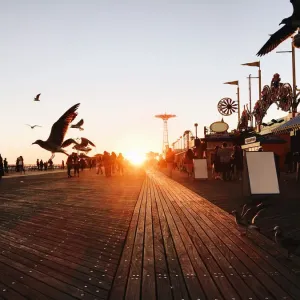 Idyllic sunset with flying birds at Coney Island, Brooklyn, New York City, USA Idyllic sunset with flying birds at Coney Island, Brooklyn, New York City, USA