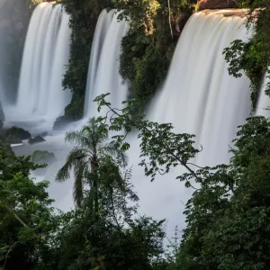 Iguazu Falls Print: Water cascades through the jungle Iguazu Falls Print: Water cascades through the jungle