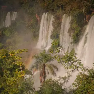 Part of The Iguazu Falls seen from the Argentinian National Park, Misiones, Argentina