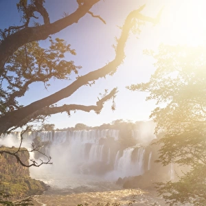 Iguazu National Park, Misiones, Argentina
