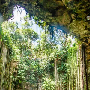 Ik-Kil Cenote, Chichen Itza, Mexico