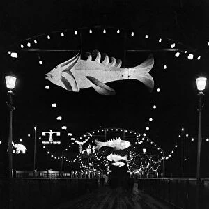Illuminated Fish