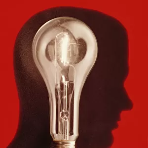 Illuminated lightbulb and mannequin head