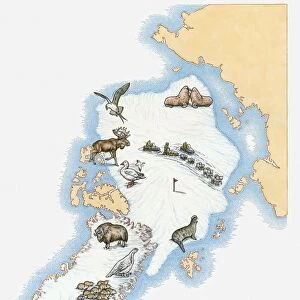 Illustrated map of Greenland