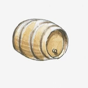 Illustration of barrel of wine