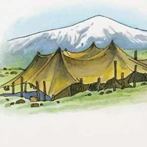 Illustration of Bedoiun tent on Black Sea coast, with snow covered mountain in background