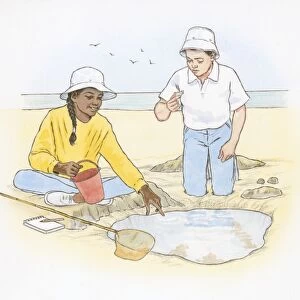 Illustration of boy and girl on looking at objects found on beach and in tide pool