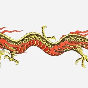 Illustration of Chinese dragon