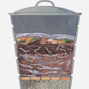 Illustration of a compost bin, cross section