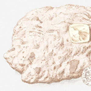 Illustration of diamond in rock and cut diamond