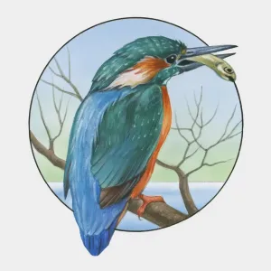 Illustration of Eurasian Kingfisher (Alcedo atthis) perching on branch with fish in beak Illustration of Eurasian Kingfisher (Alcedo atthis) perching on branch with fish in beak