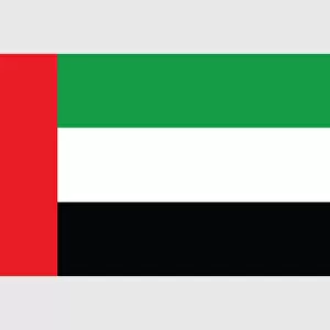Illustration of flag of United Arab Emirates, with vertical red band near hoist and horizontal green, white and black bands on field