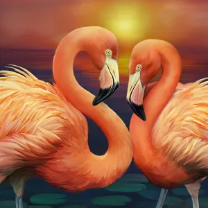 Illustration of Flamingos