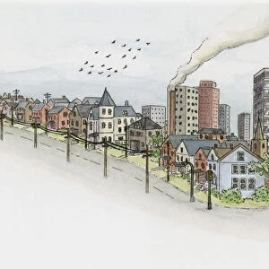 Illustration of two flocks of birds flying over industrial town