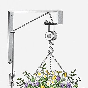 Illustration of a flower basket attached to pulley system