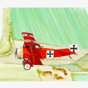 Fokker Triplane Print