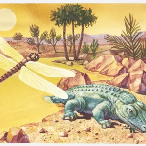 Illustration of Grand Canyon flora and fauna 200 million years ago