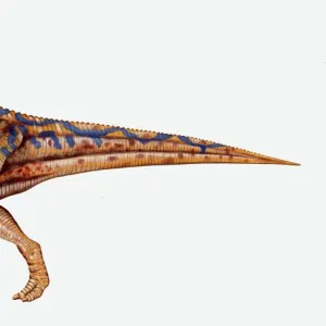 Illustration of Hadrosaurus dinosaur